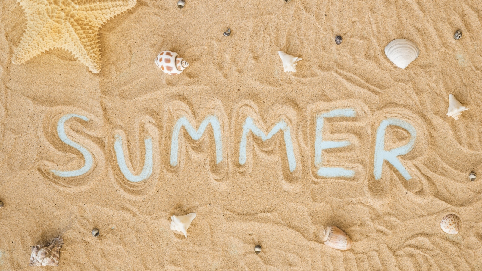 Надпись лето на песке с ракушками