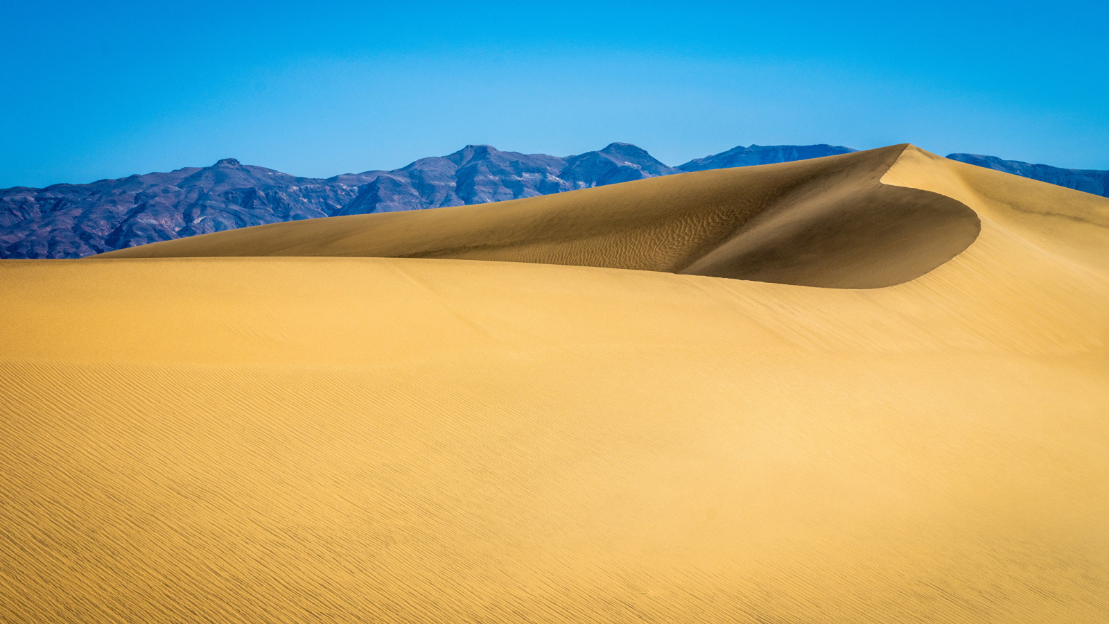 Песчаные дюны в Национальном парке, США