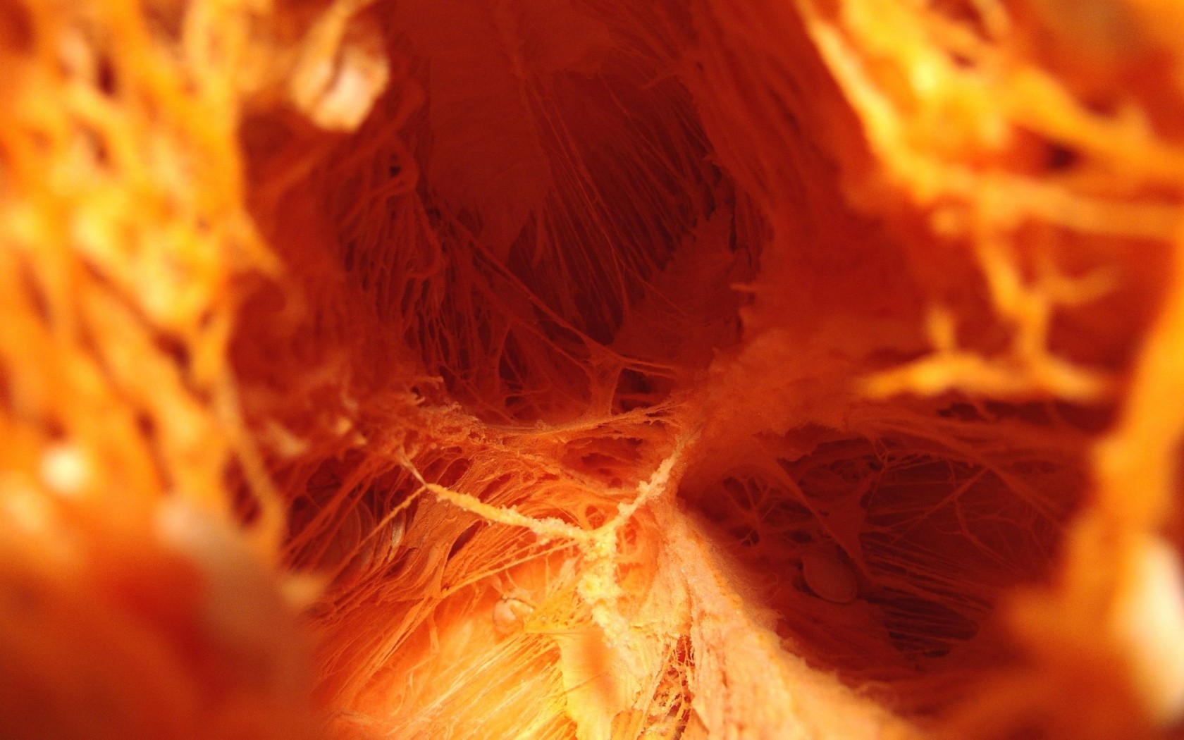 Внутренняя тыква