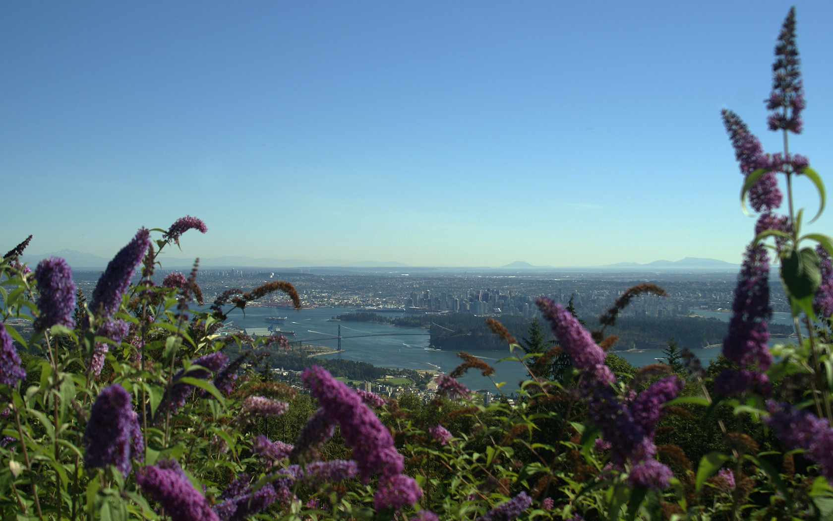 Цветочный Ванкувер