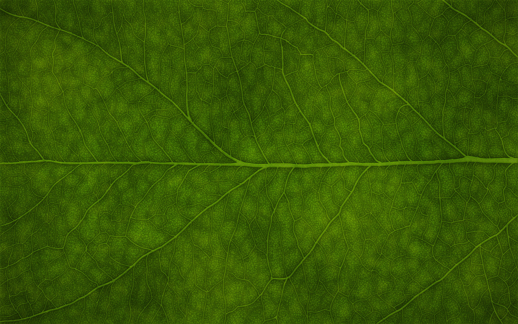 Зеленая листва