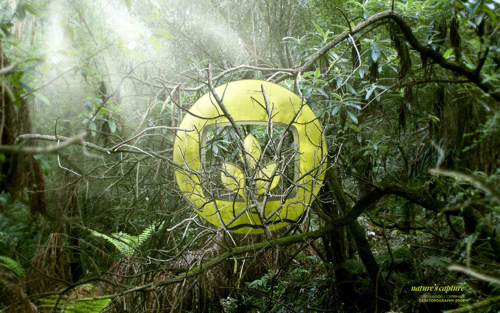 Природный логотип