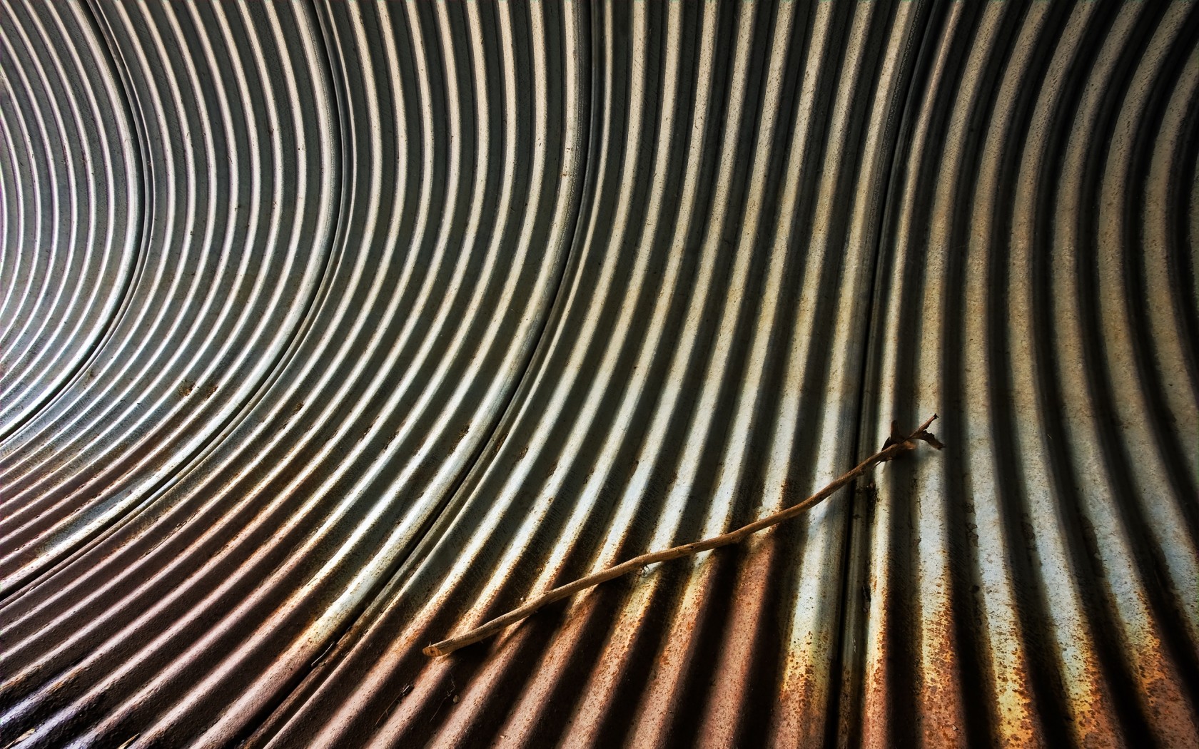 труба зебра