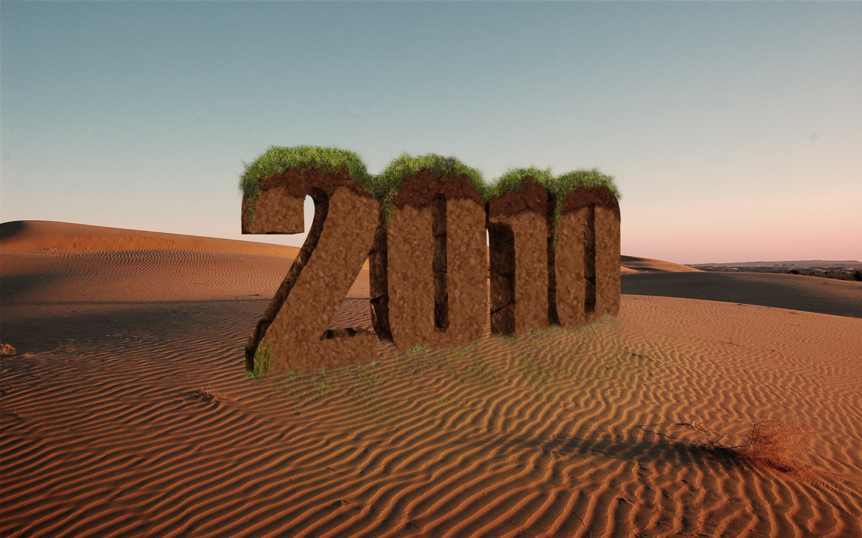 Новый год 2010 пустыня