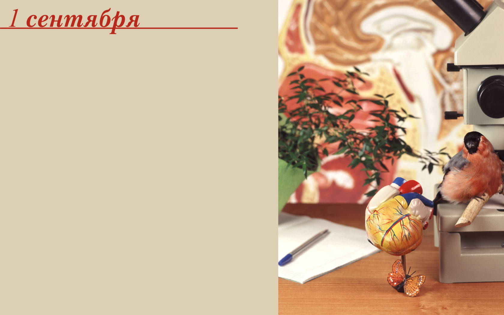 Начало учебного года