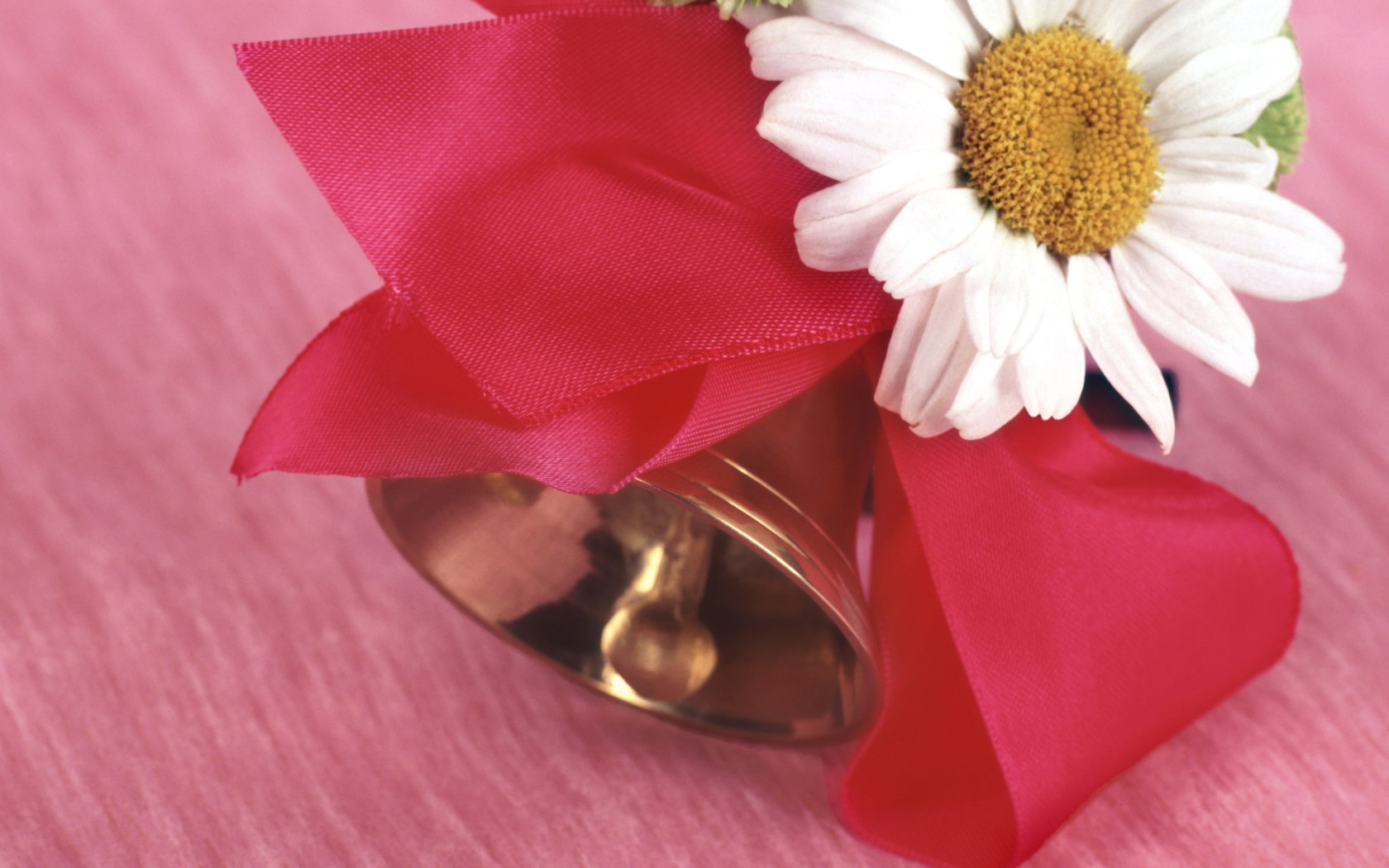 Начало учебы