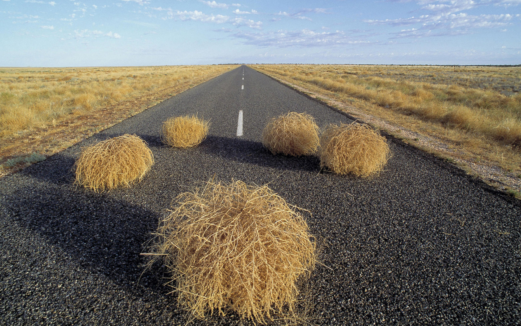 Дорога через пустыню