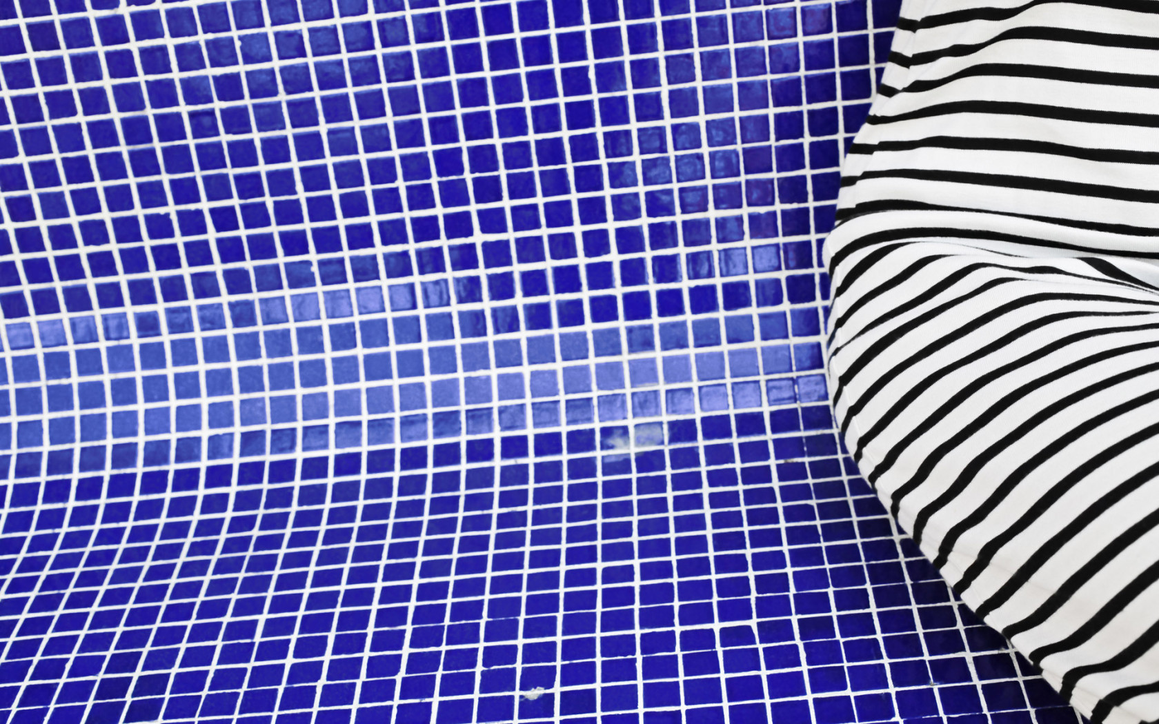 Зебра в бассейне