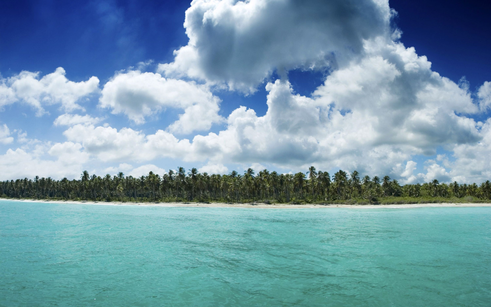 Гавайский берег