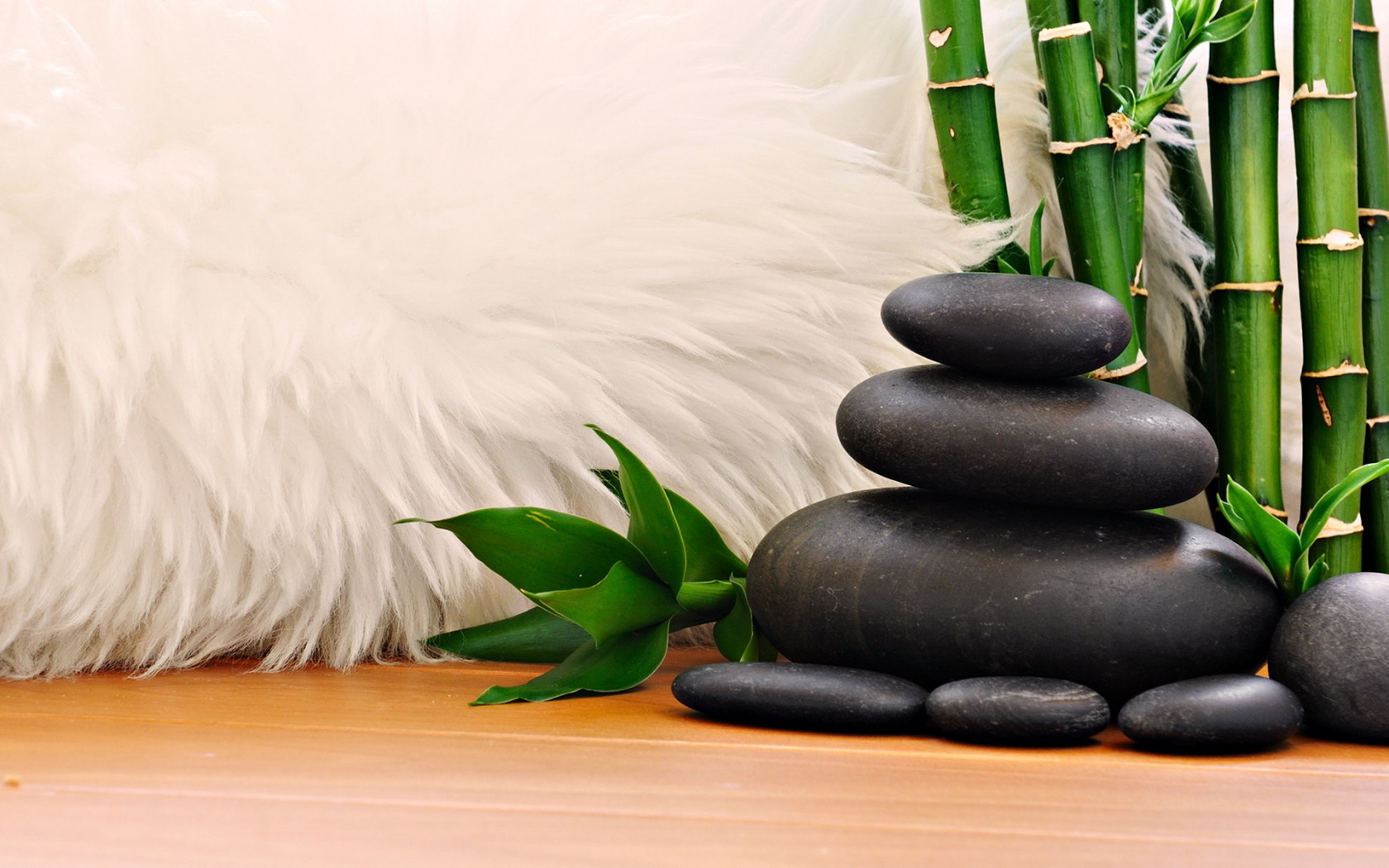 Мех, камни, тростник