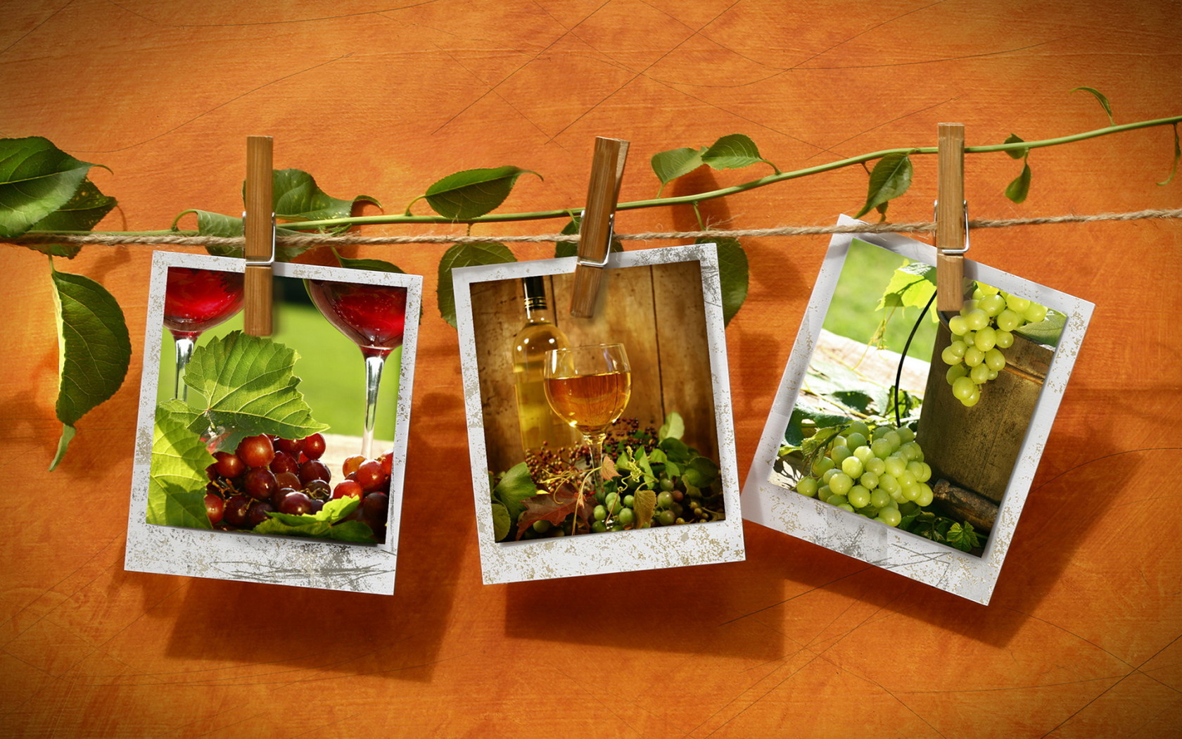 Фотографии