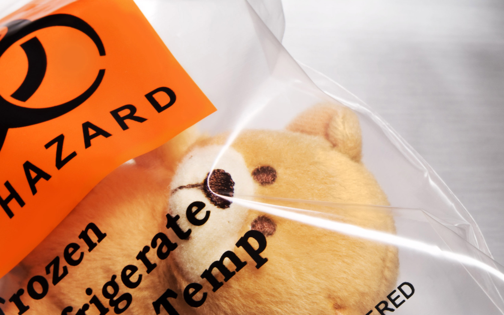 Опасный плюшевый мишка