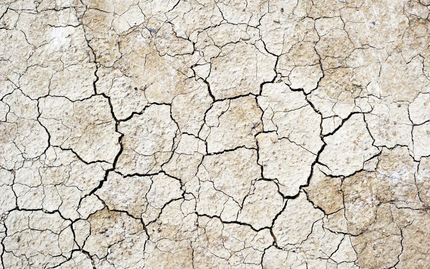 Земля выжженная солнцем