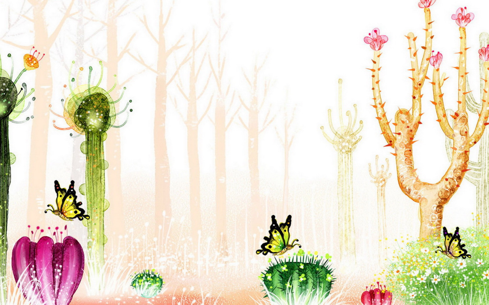 Цветущие кактусы