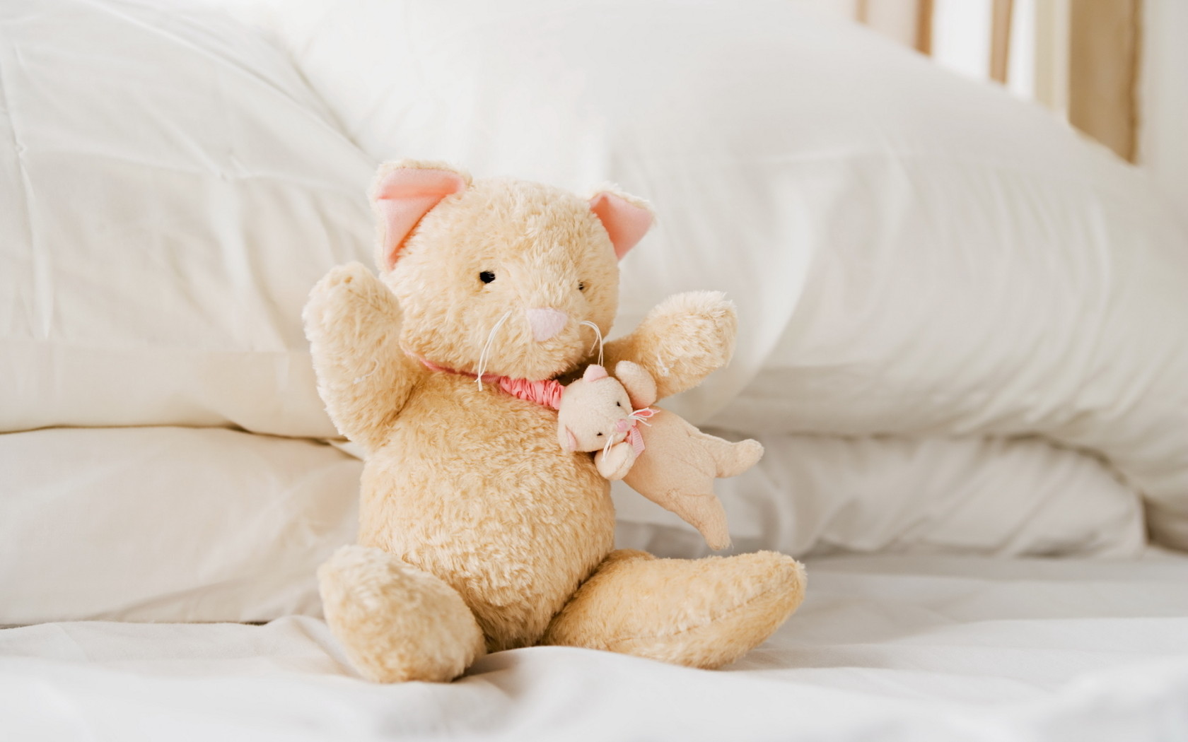 Плюшевые кошка и мышка