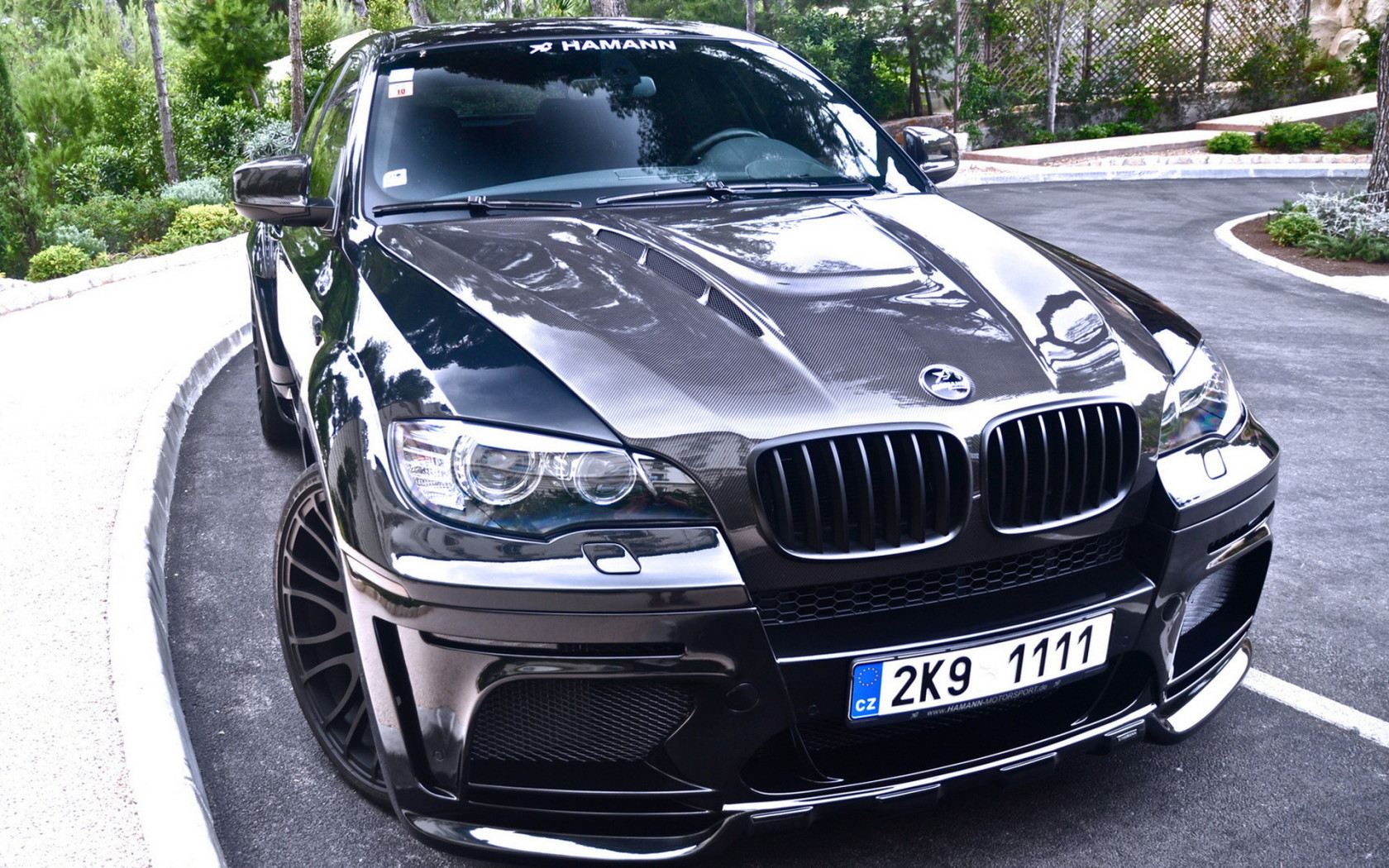 BMW X6 Hamann