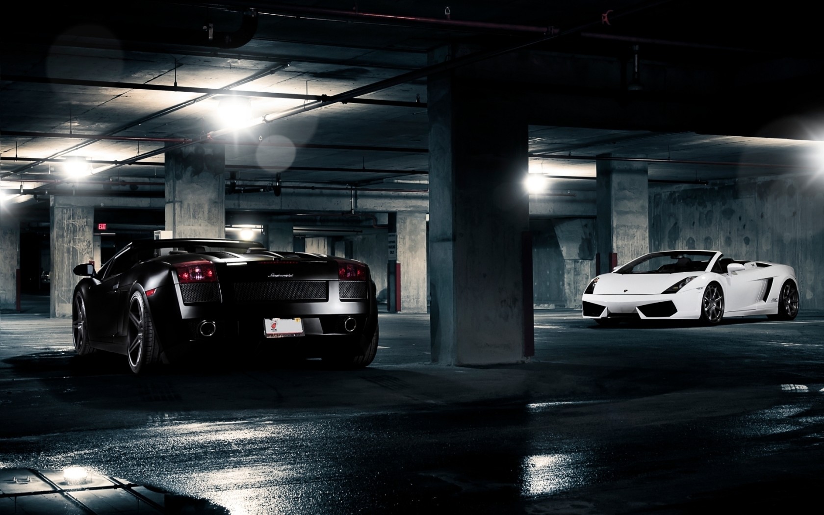 Lamborghini Gallardo White and Black