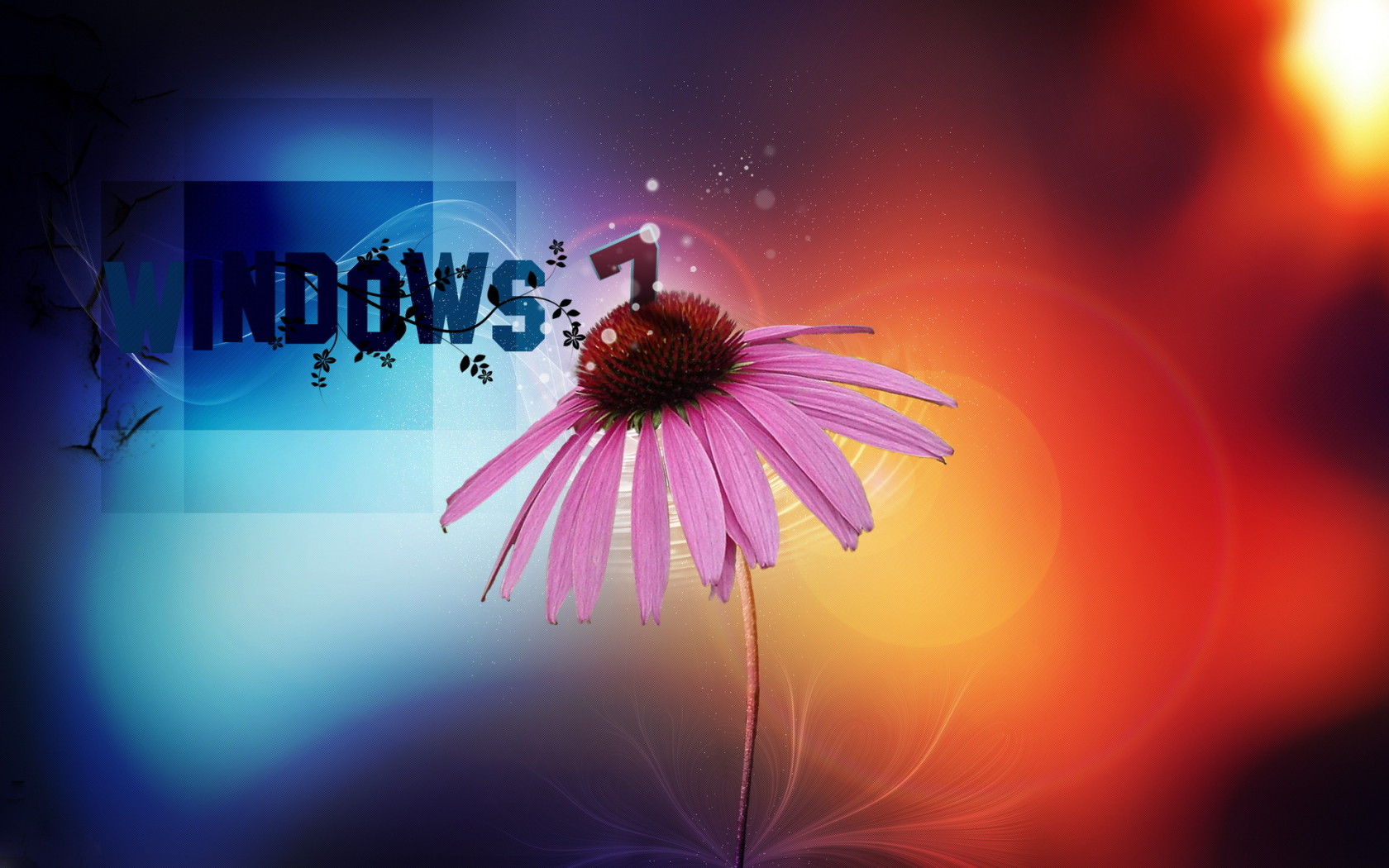 Windows 7