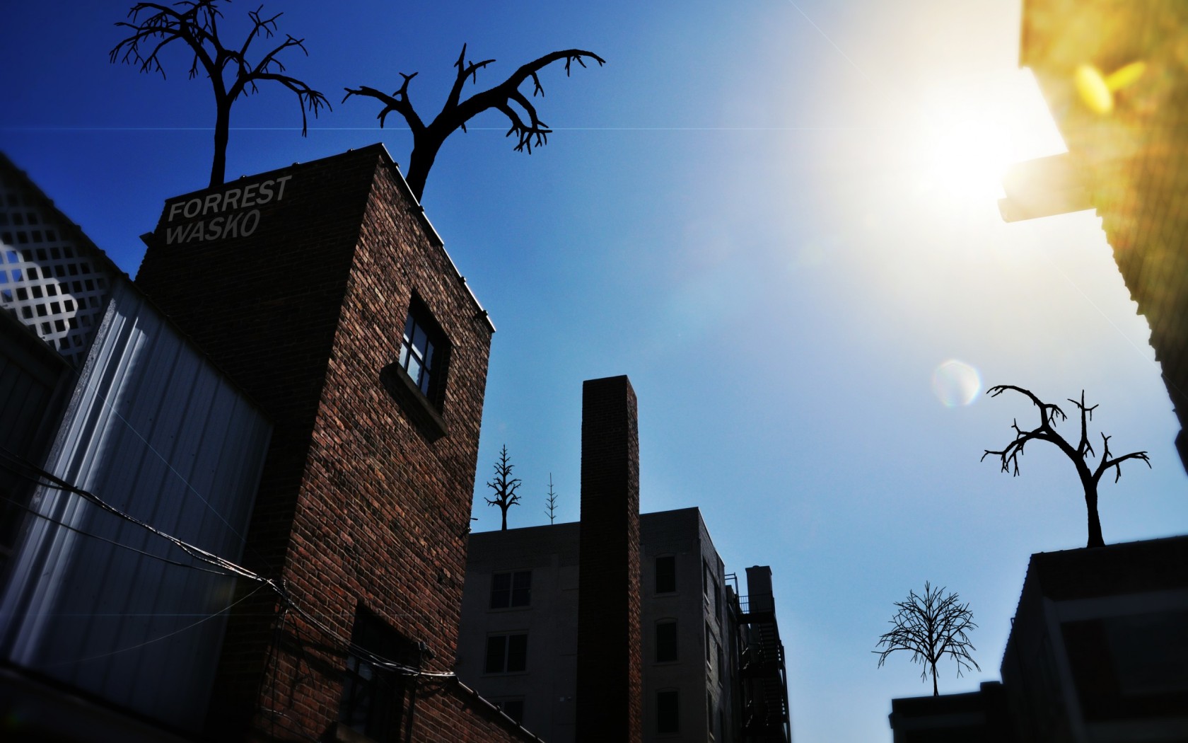 Деревья на крыше