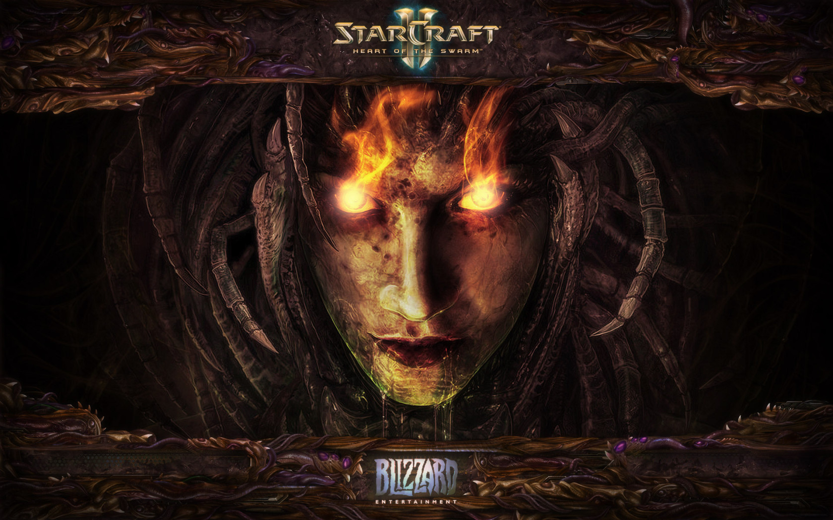 Starcraft 2: heart of the swarm