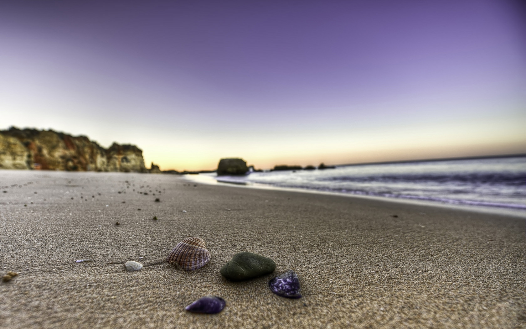 Ракушки на берегу