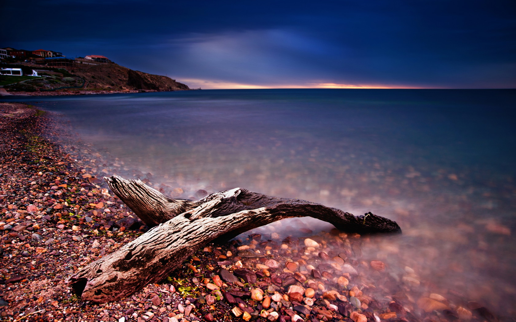 Коряга на берегу