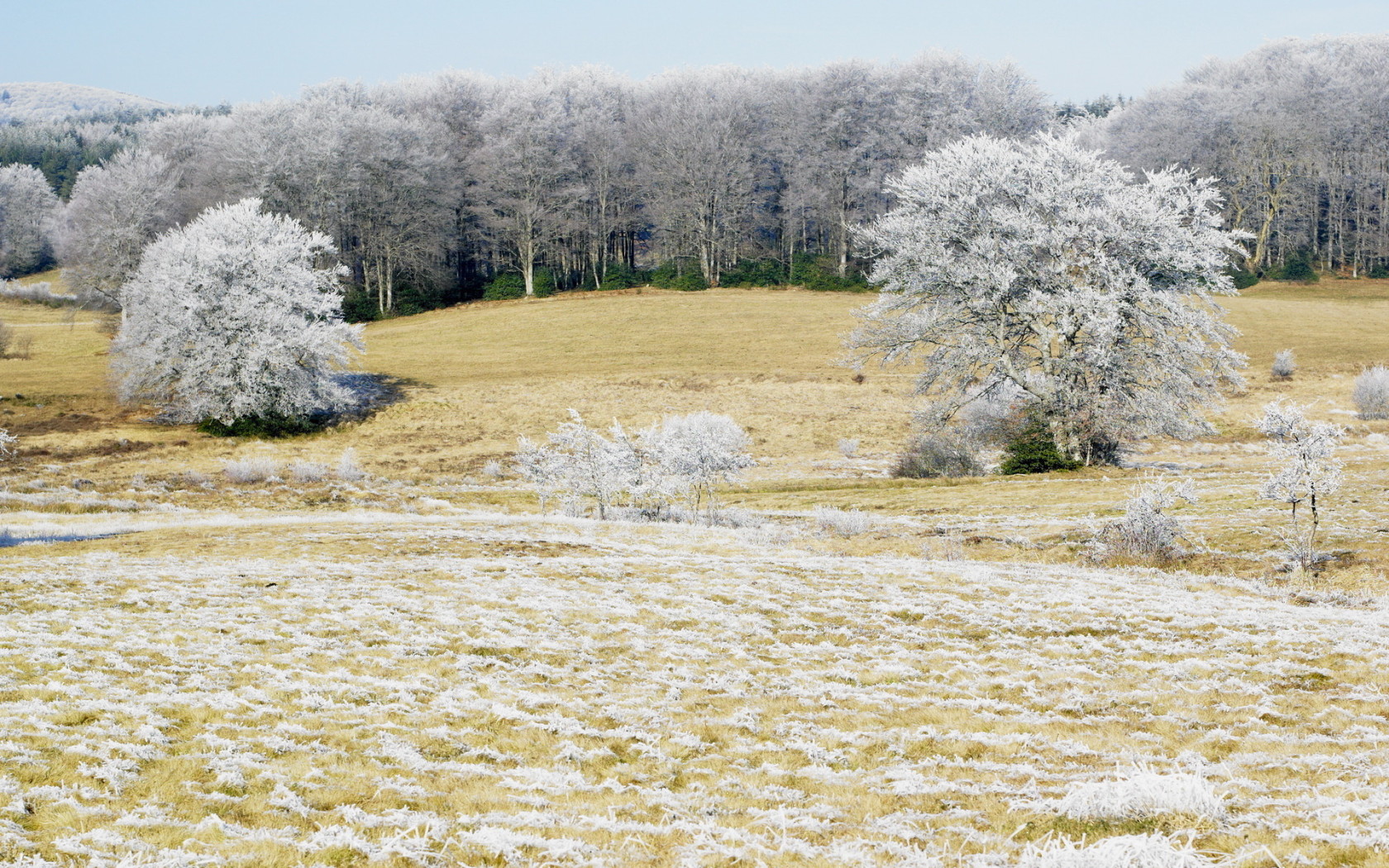 Холодным утром