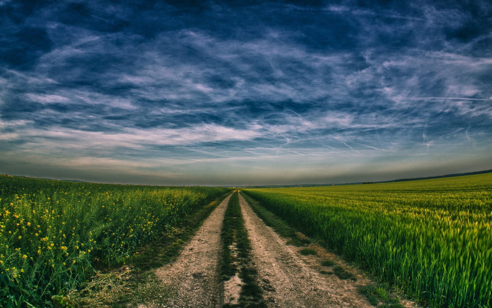 Дорога в поле