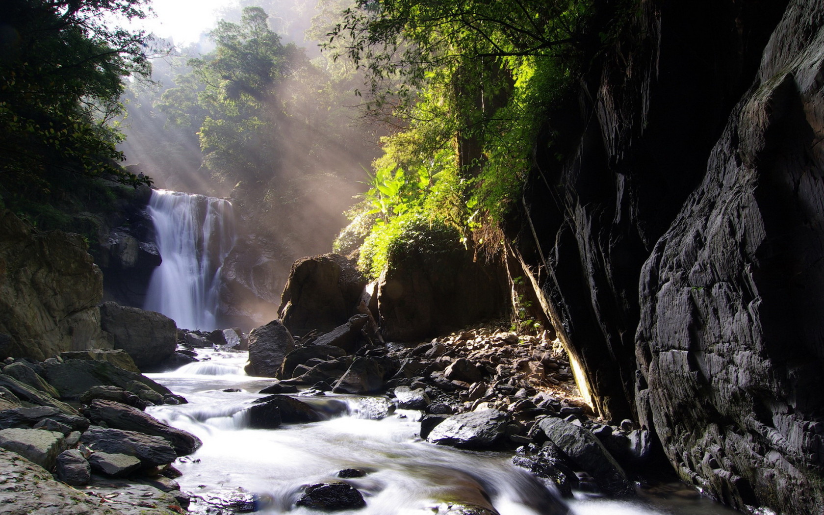 Лесной ручей