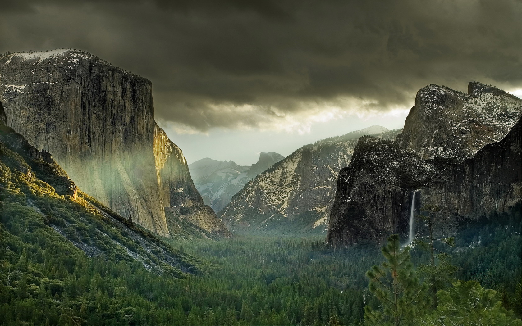 Лес у подножия гор