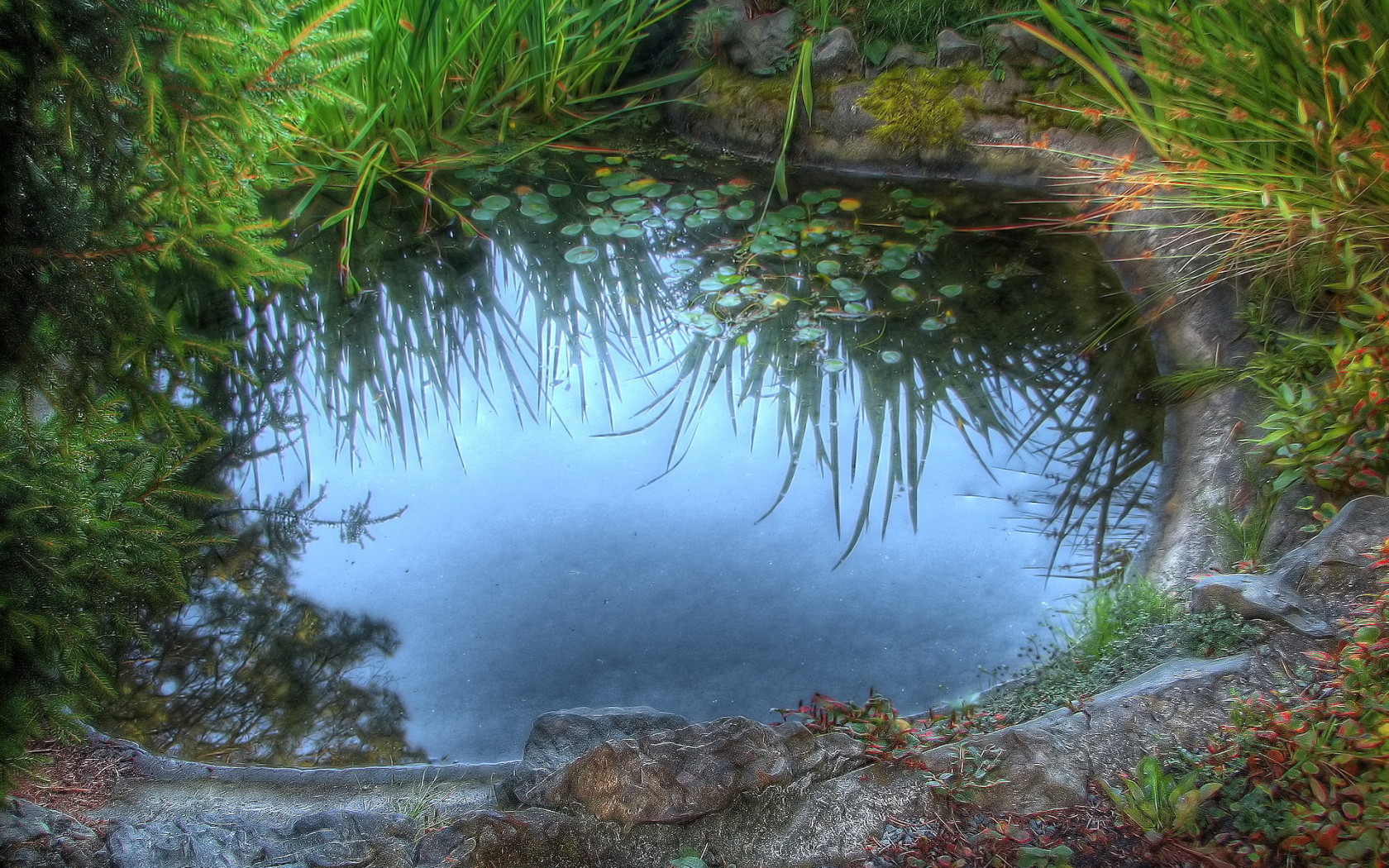 Среди камышей