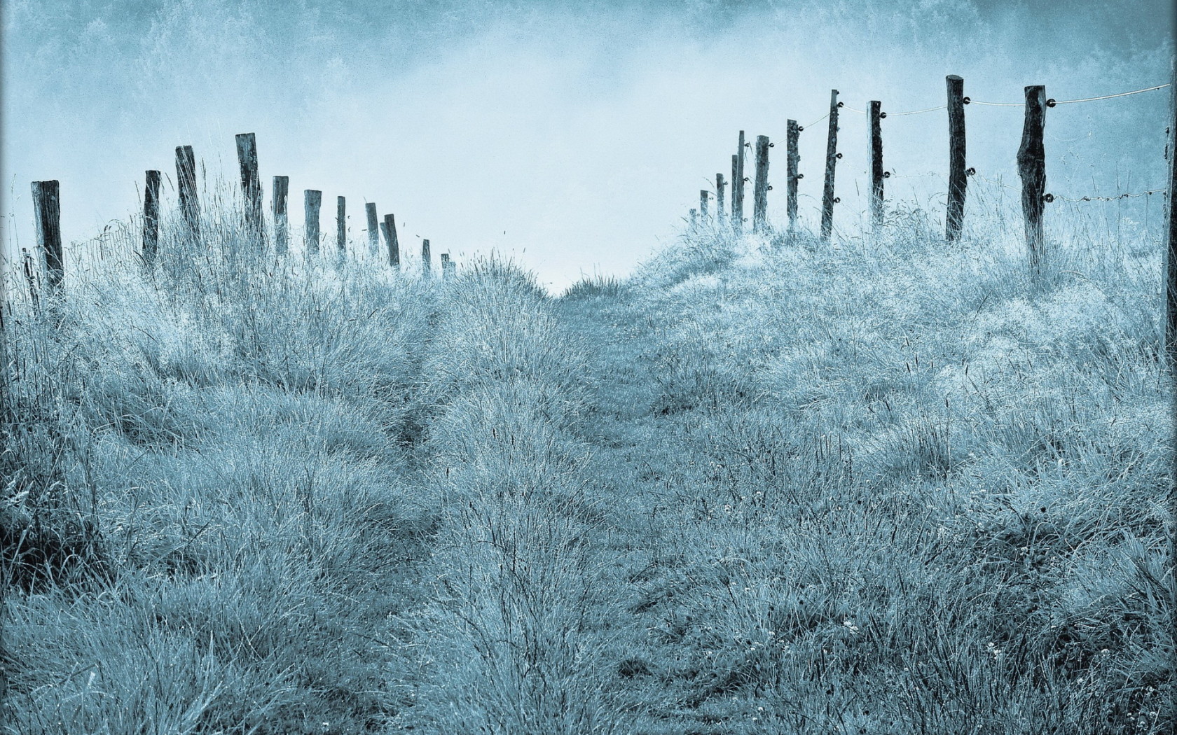 Туманным утром