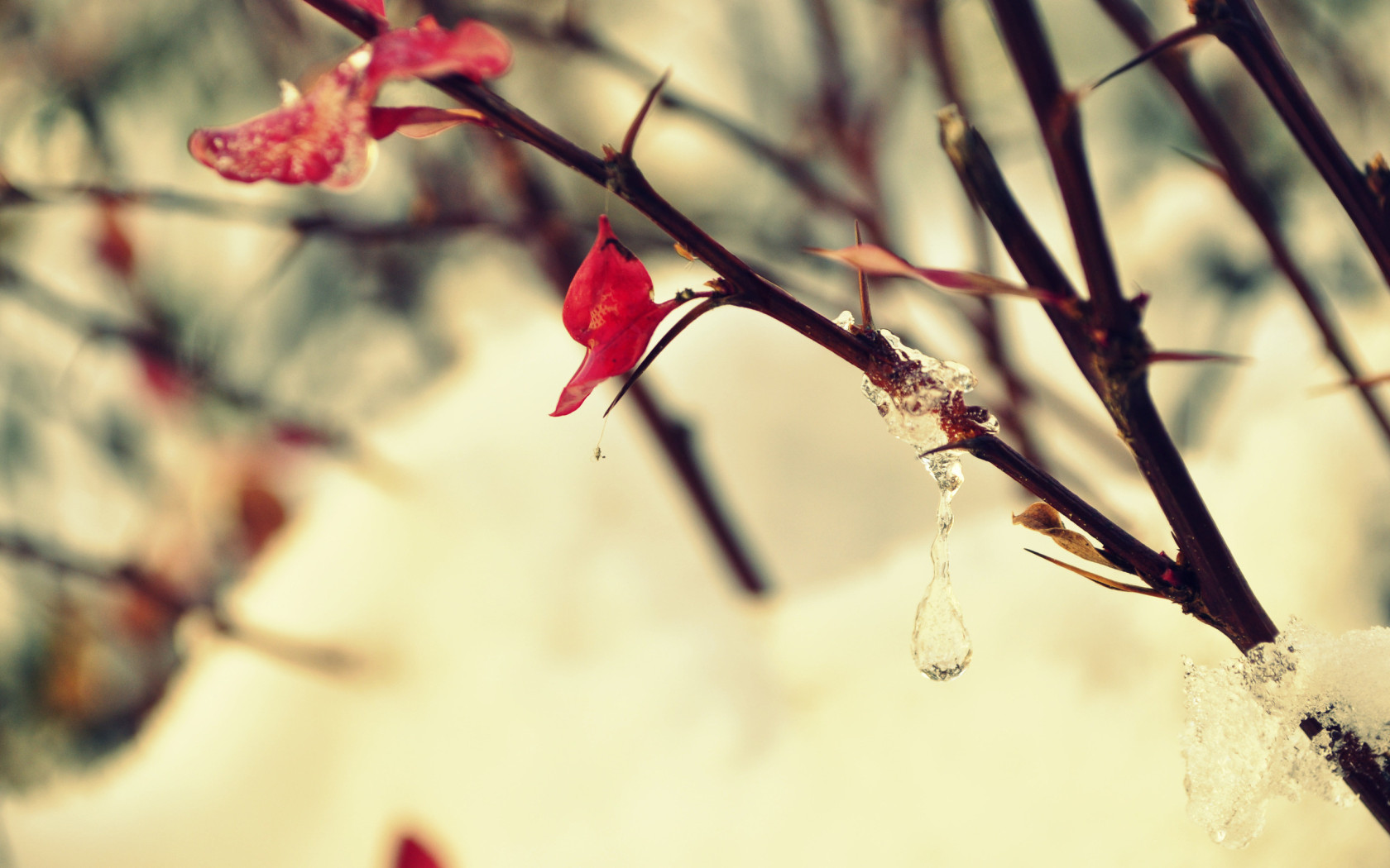 Замерзшая капля