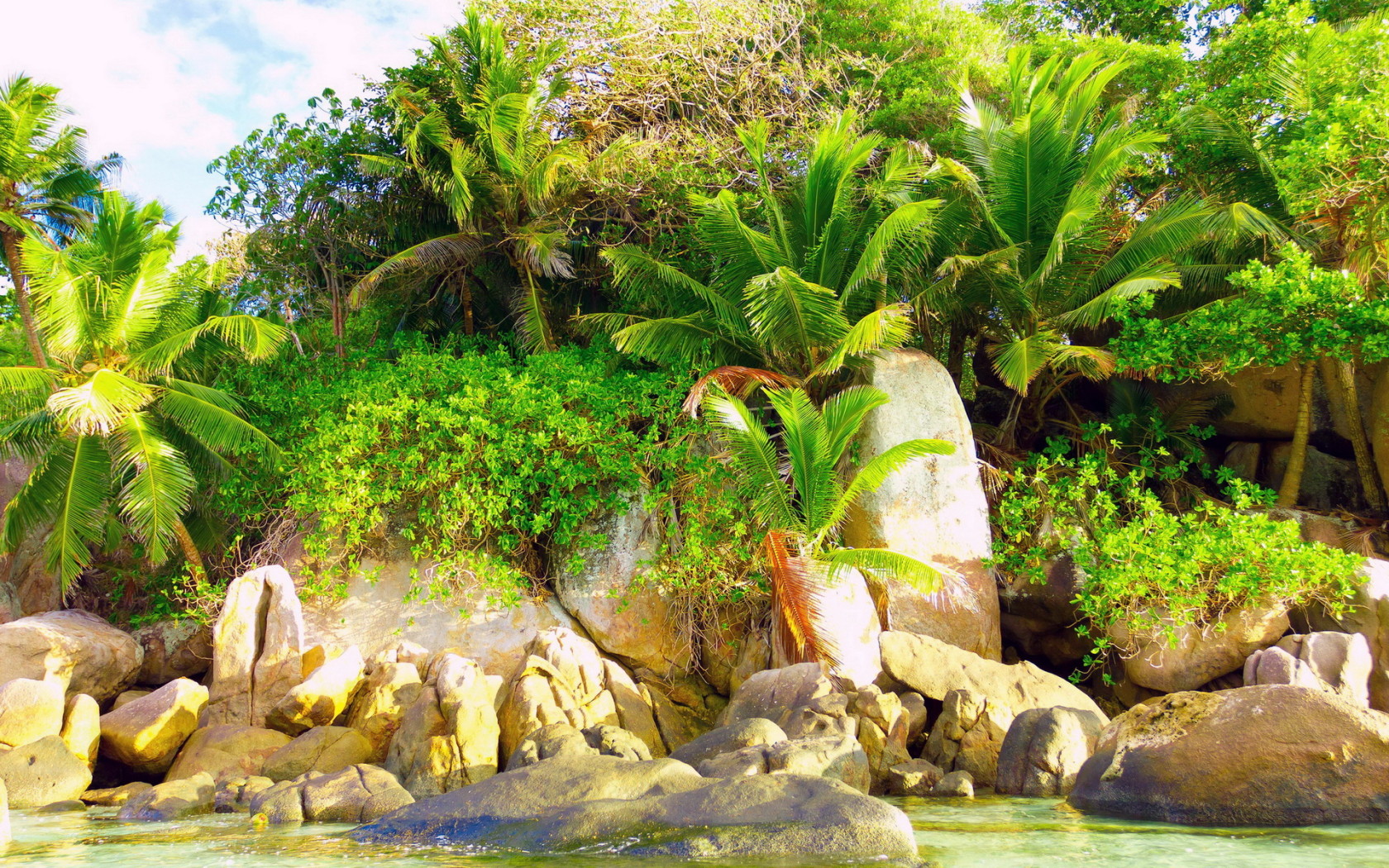 Природа тропиков