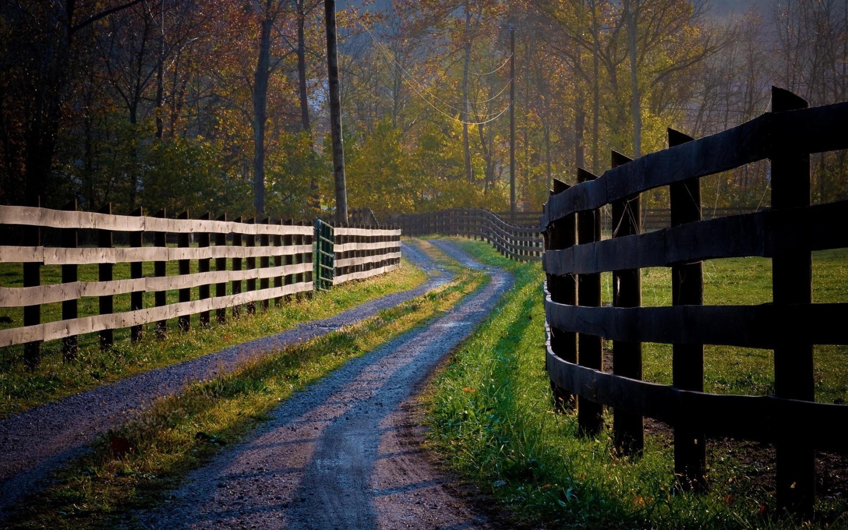 Деревянные заборы