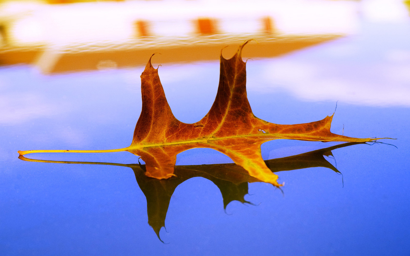 Засохший листок