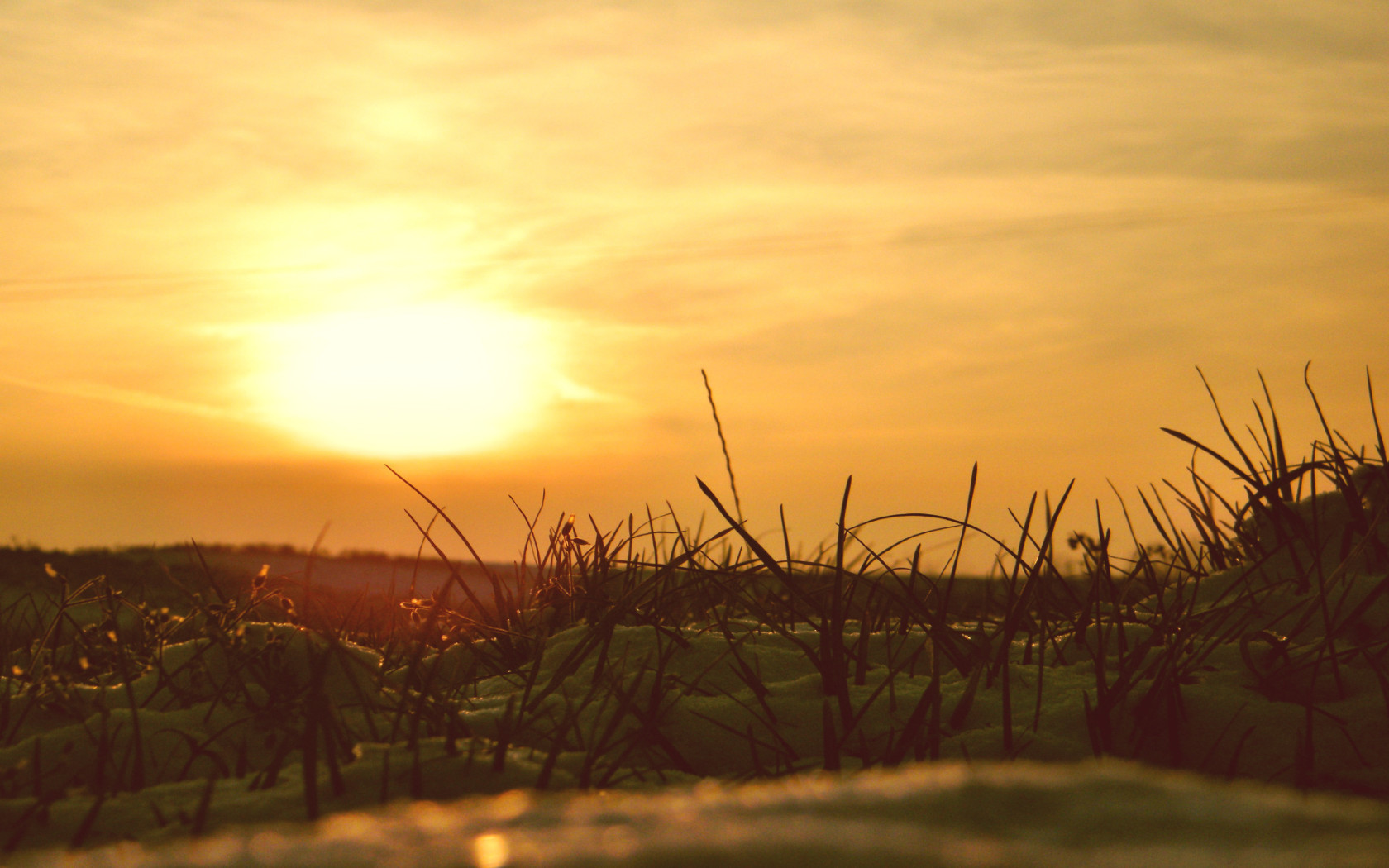 Сквозь снег