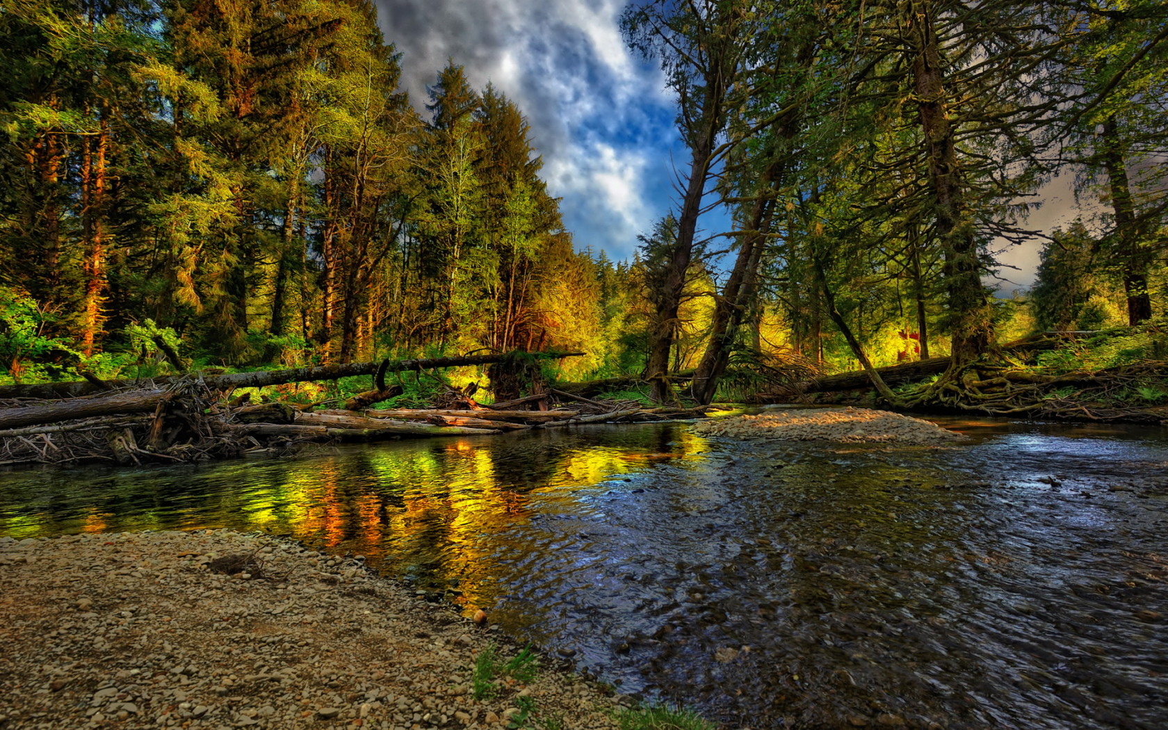 Лесная речка