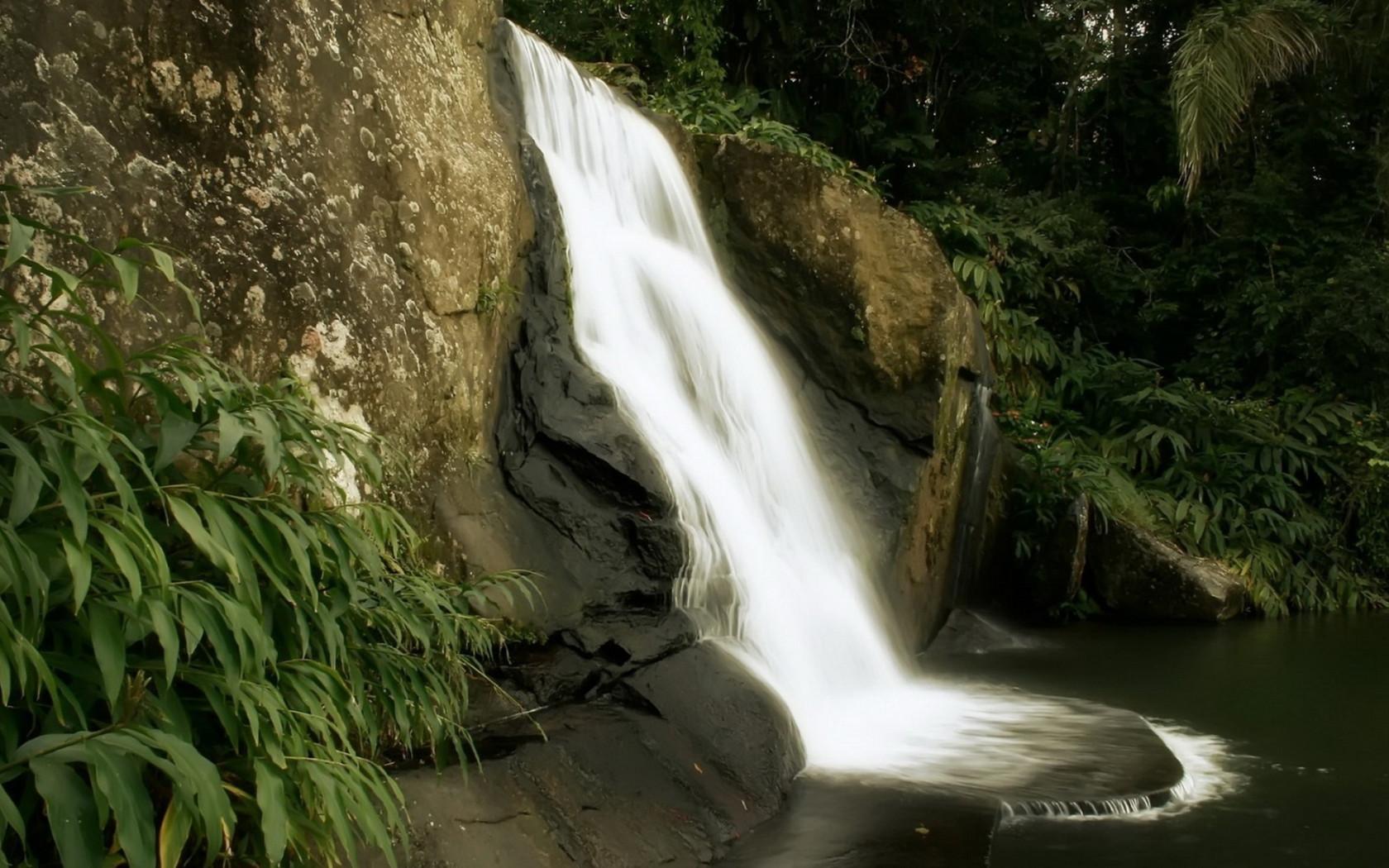 Маленький лесной водопад