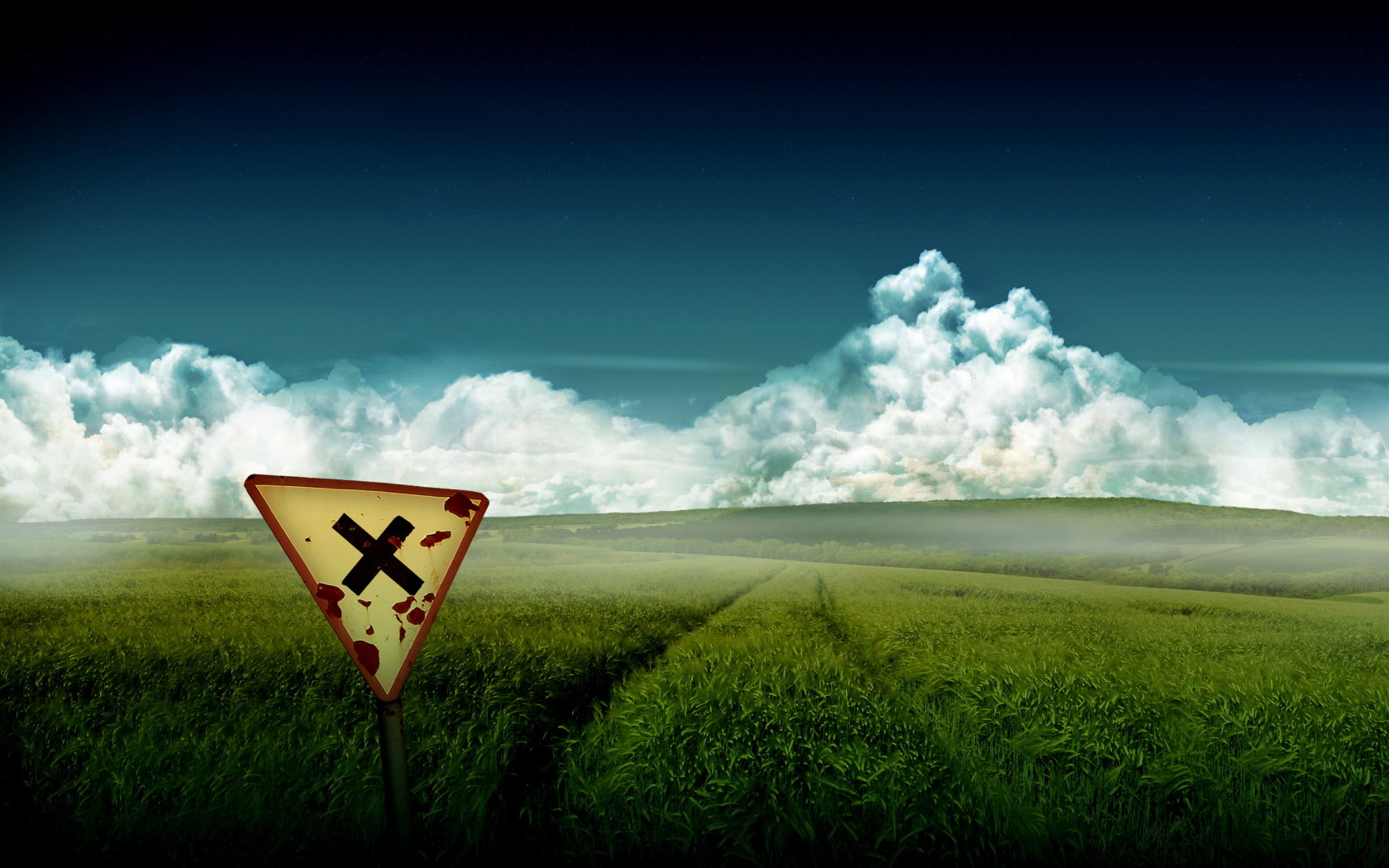 Зеленое поле