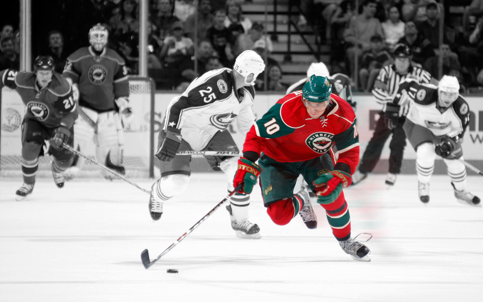 Minnesota Wild, NHL