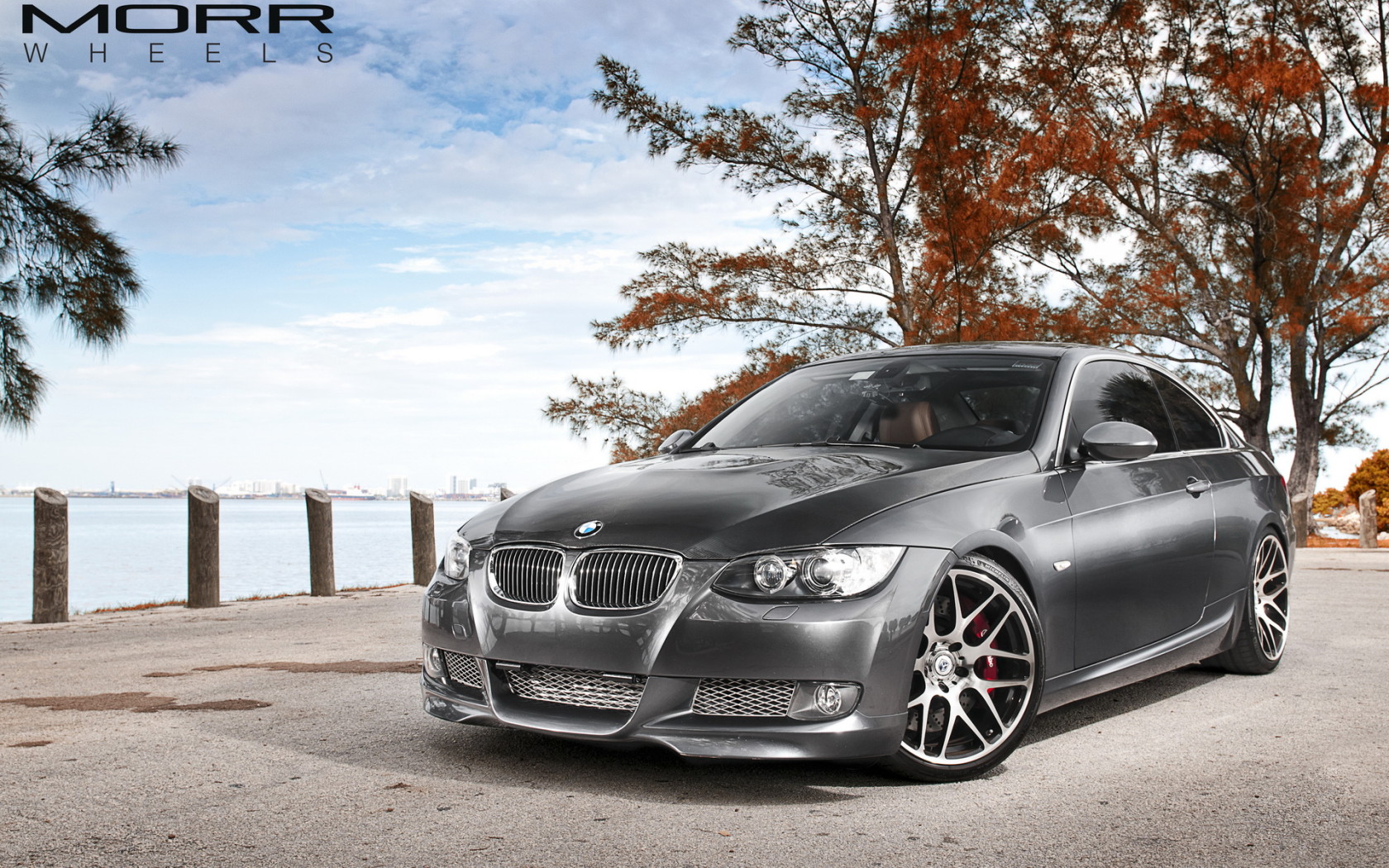 BMW 335