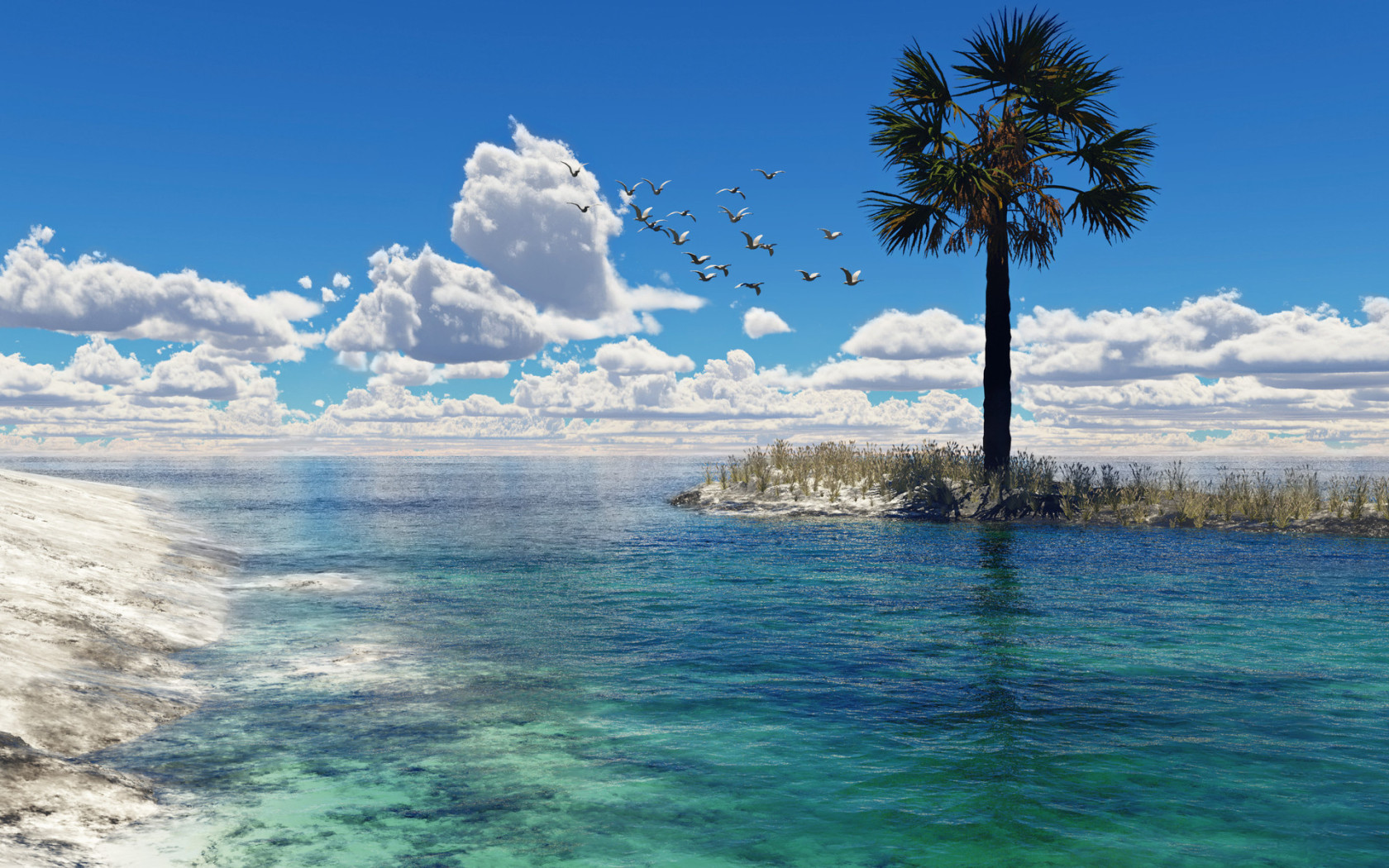 Чайки над морем