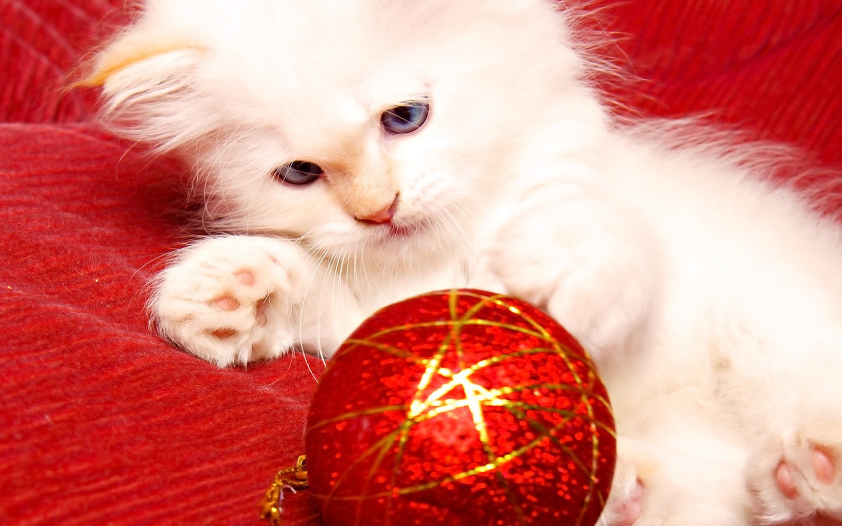 Белый кот ёлочная игрушка