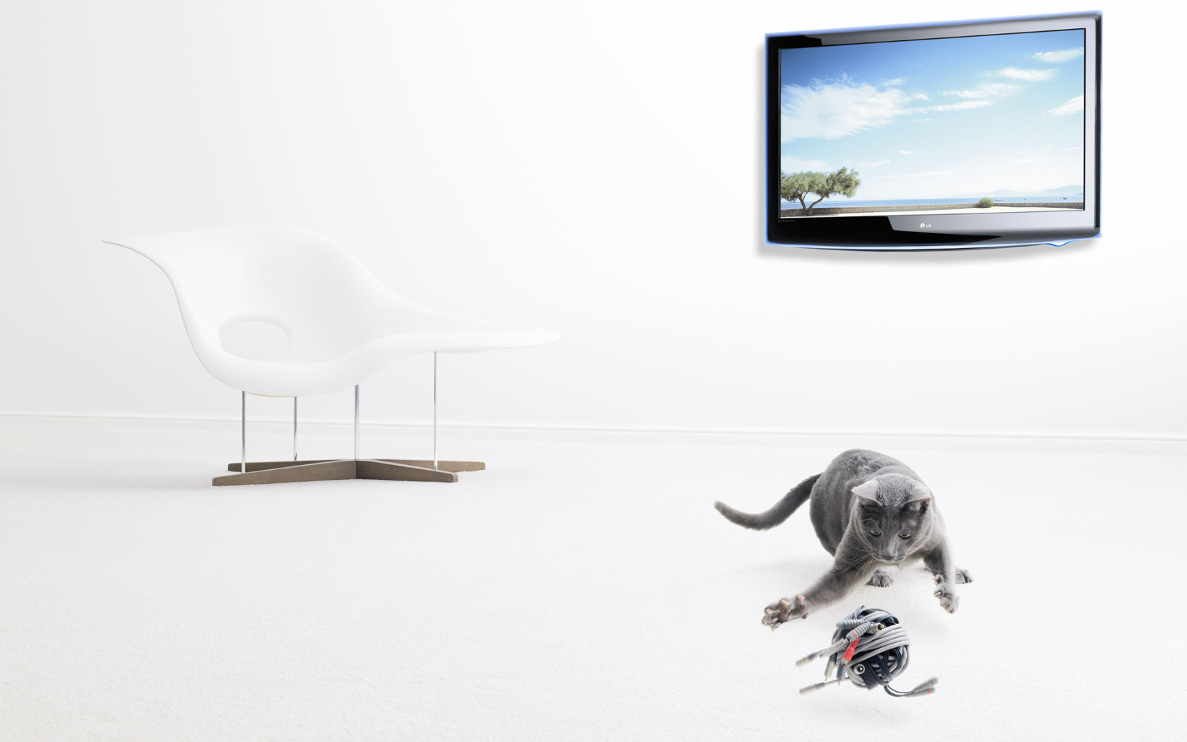 Серый кот и его игрушка