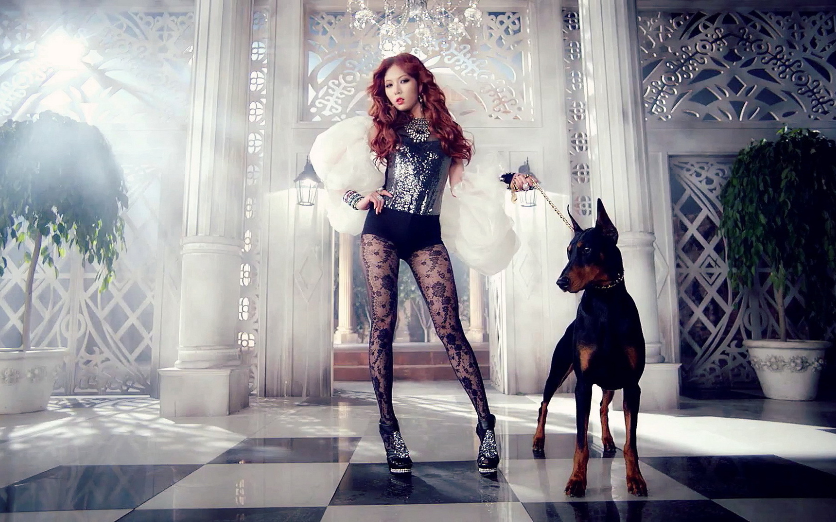 Поп-звезда и доберман