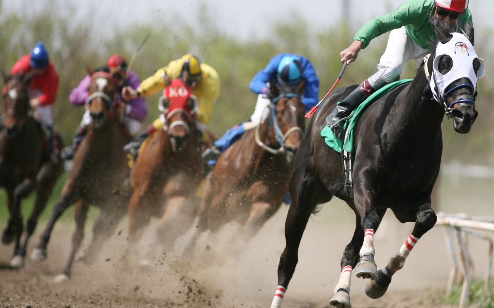 Гонки на лошадях