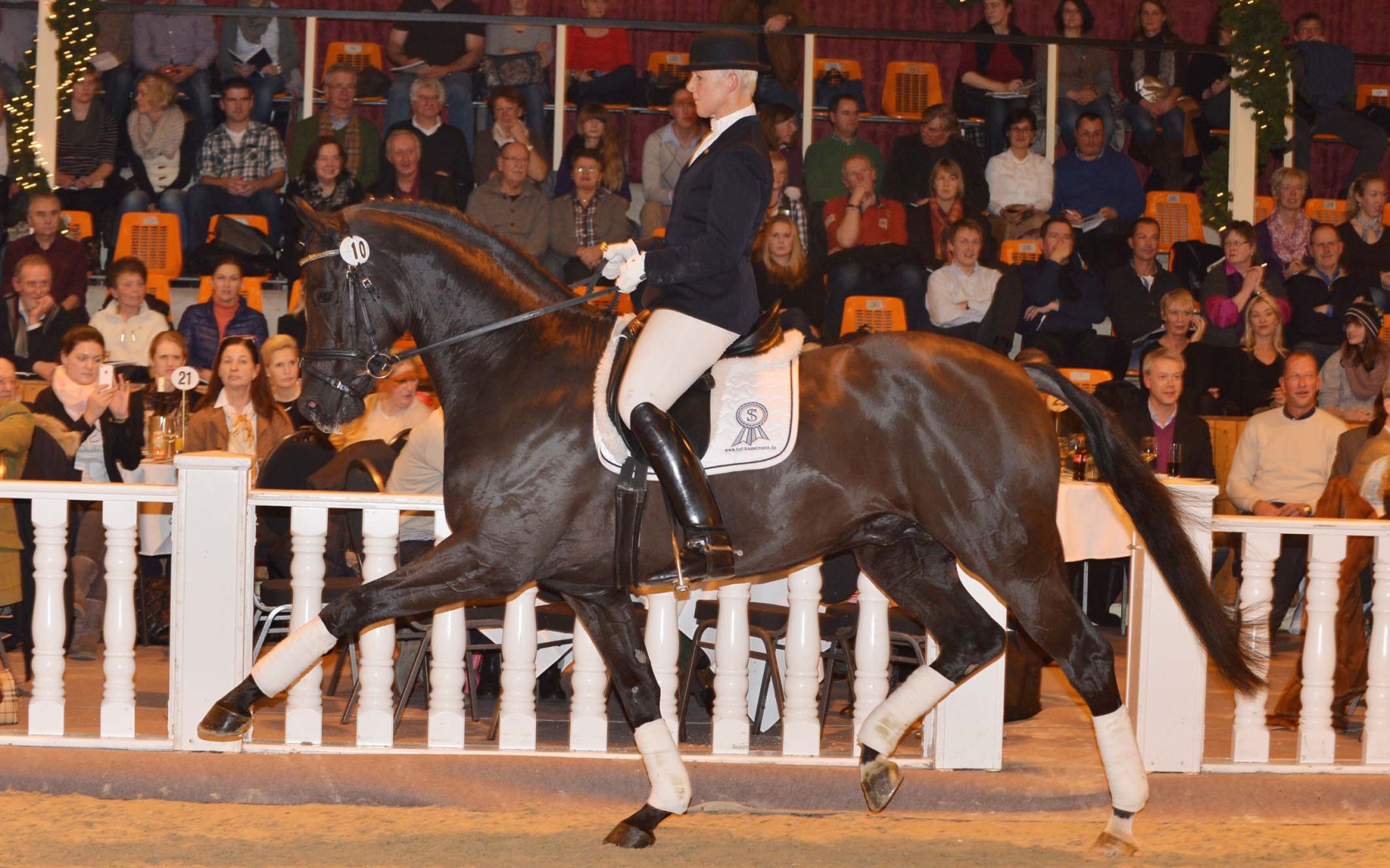 Лошади чемпионы