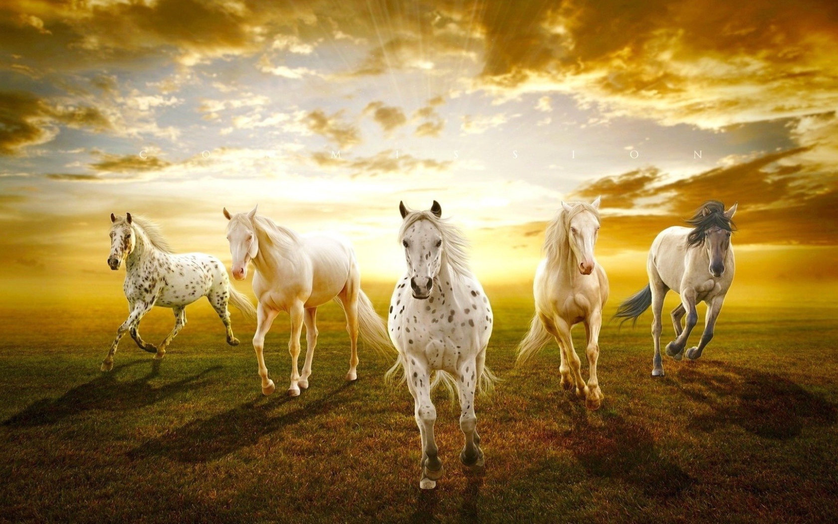 Закат с лошадями