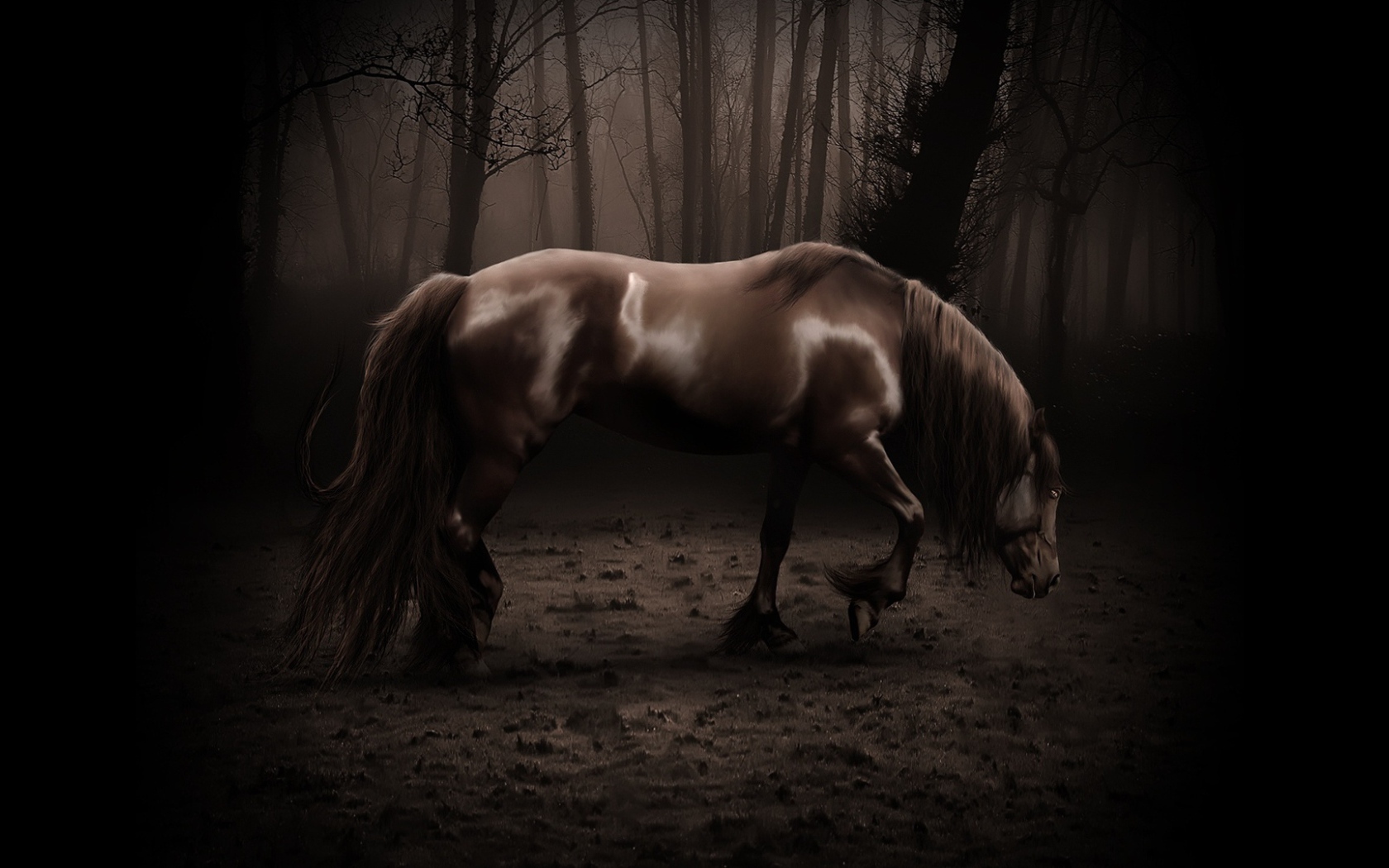 Старая лошадь